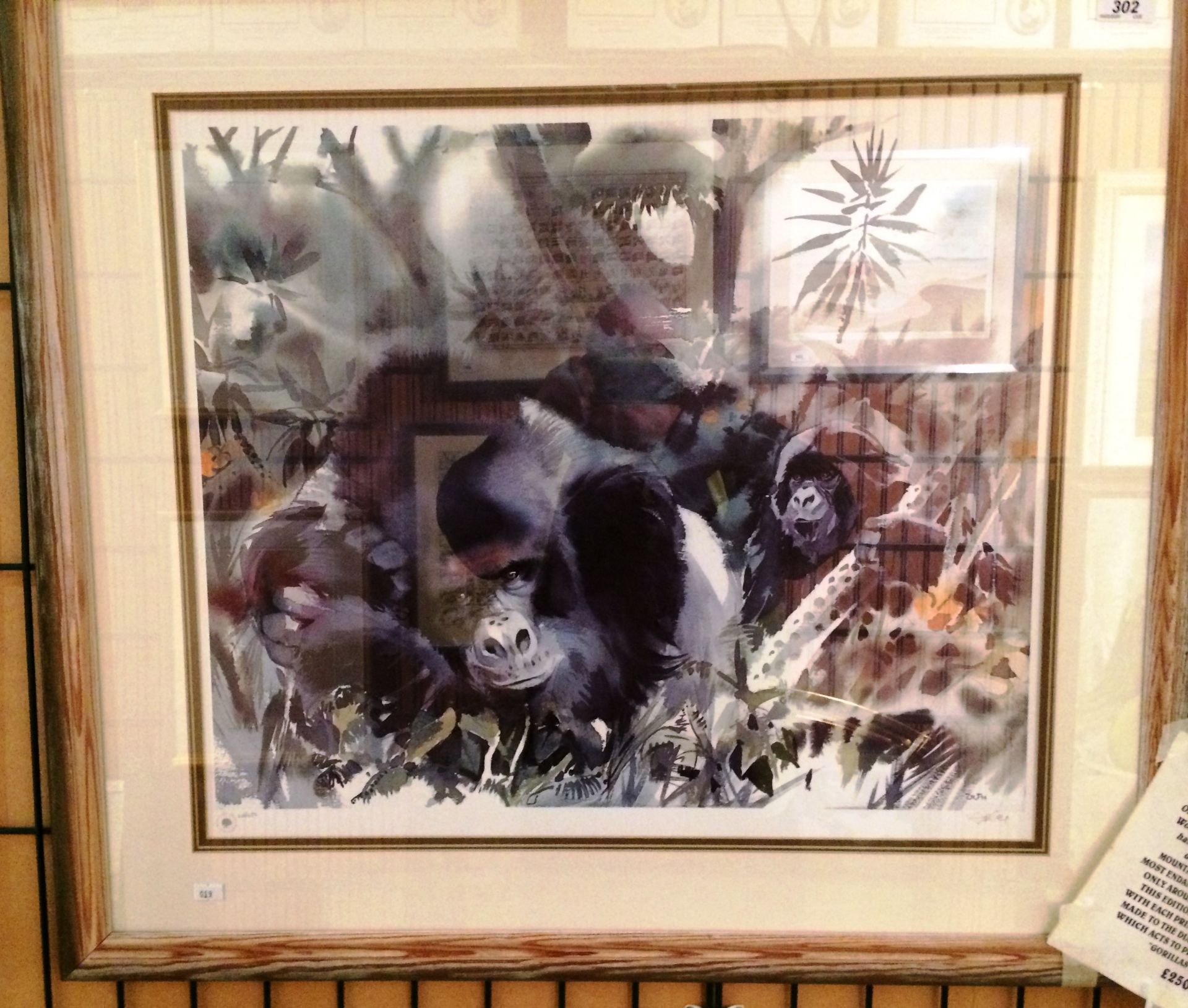 Wolfgang Weber - a framed Limited Edition print Mountain Gorillas 50 x 60cm published by Chelsea