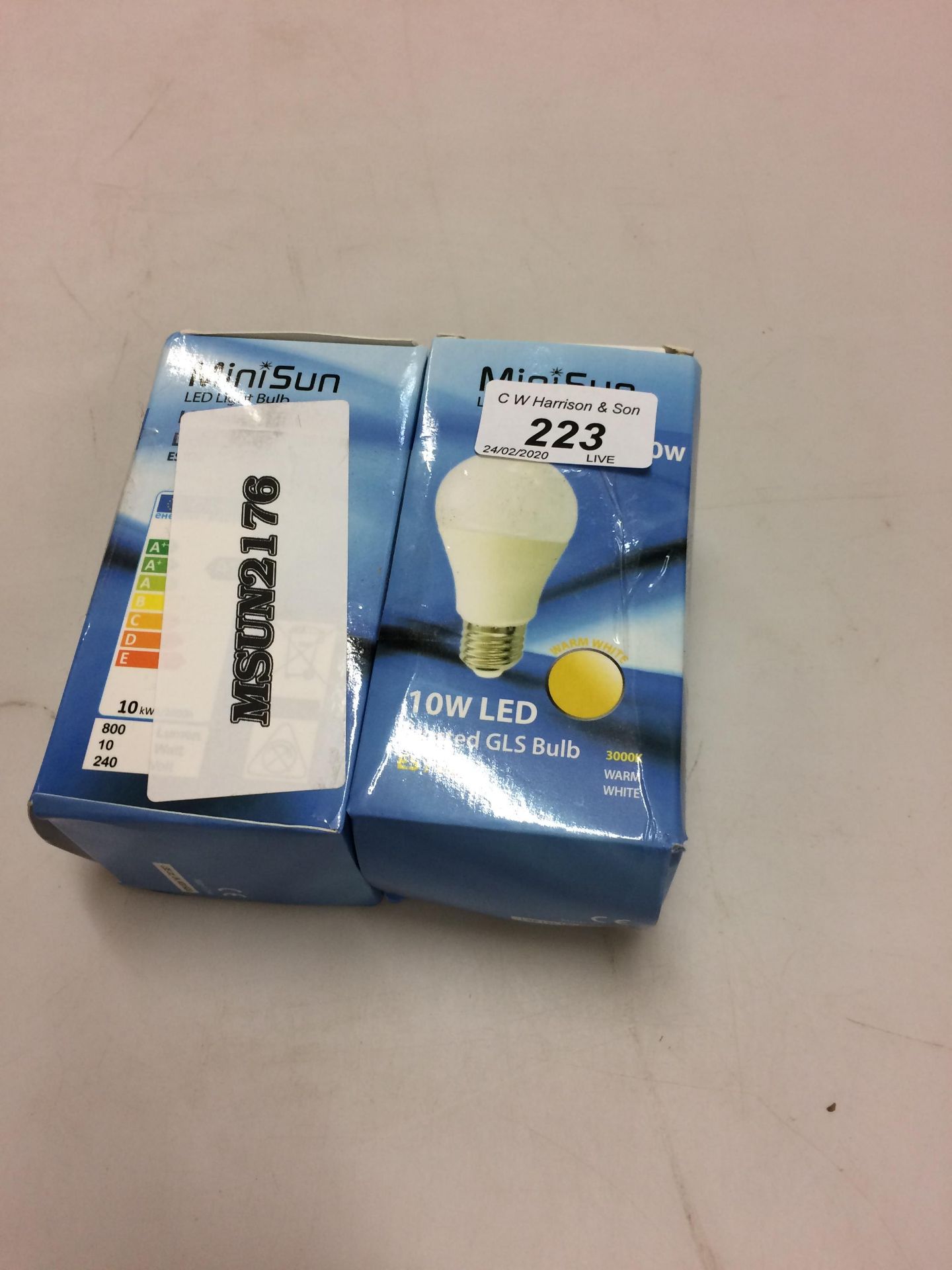 2 x Minisun LED light bulbs 10W ES/E27 M