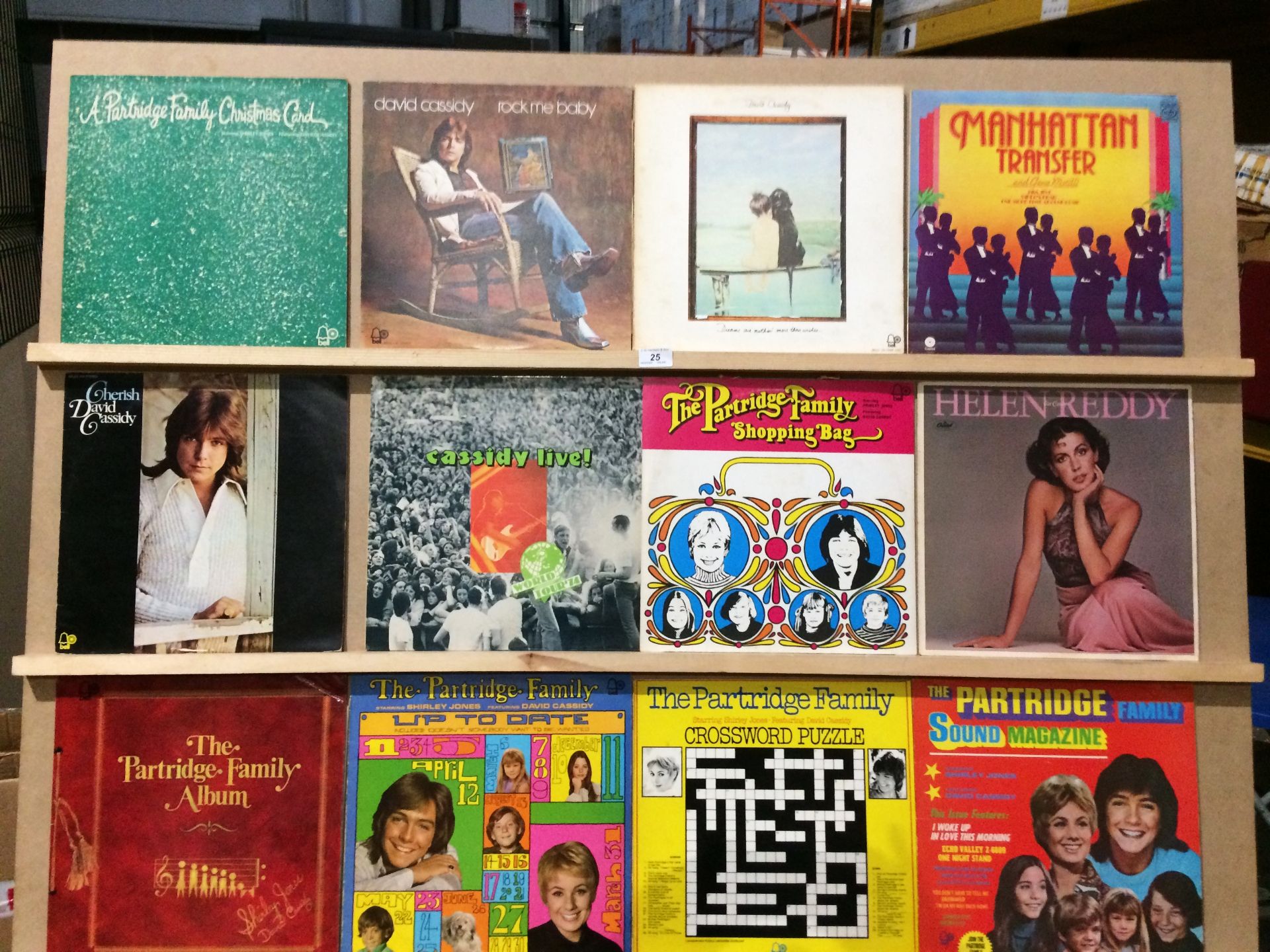 12 LP's - mainly David Cassidy and The Partridge Family