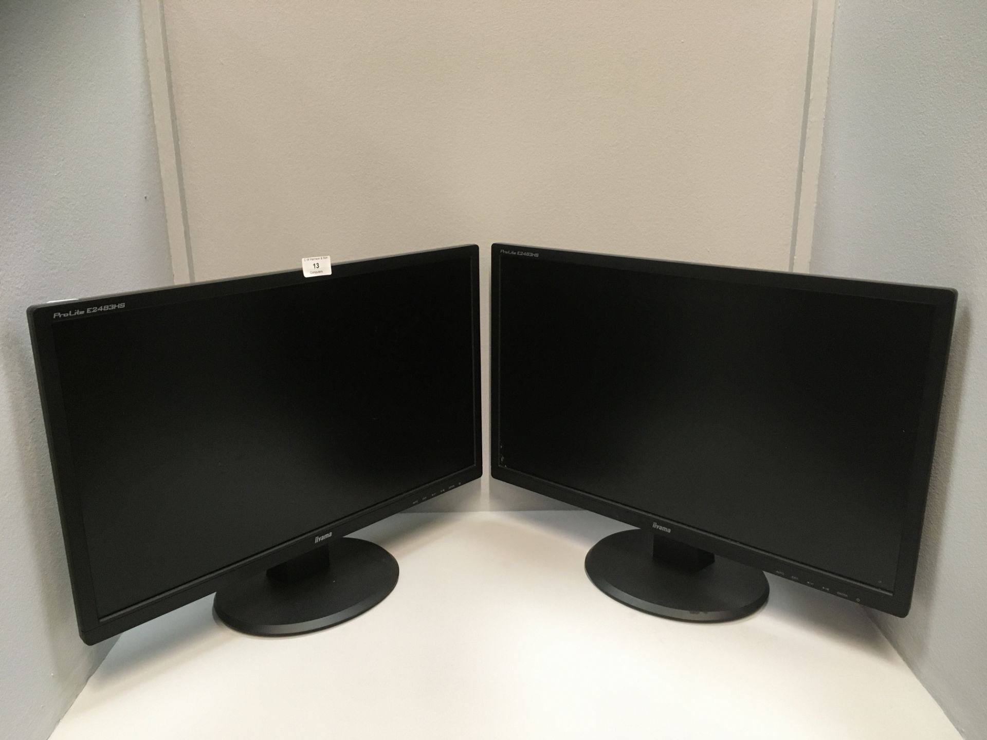 2 x Iiyama ProLite E2483HS 24" monitors