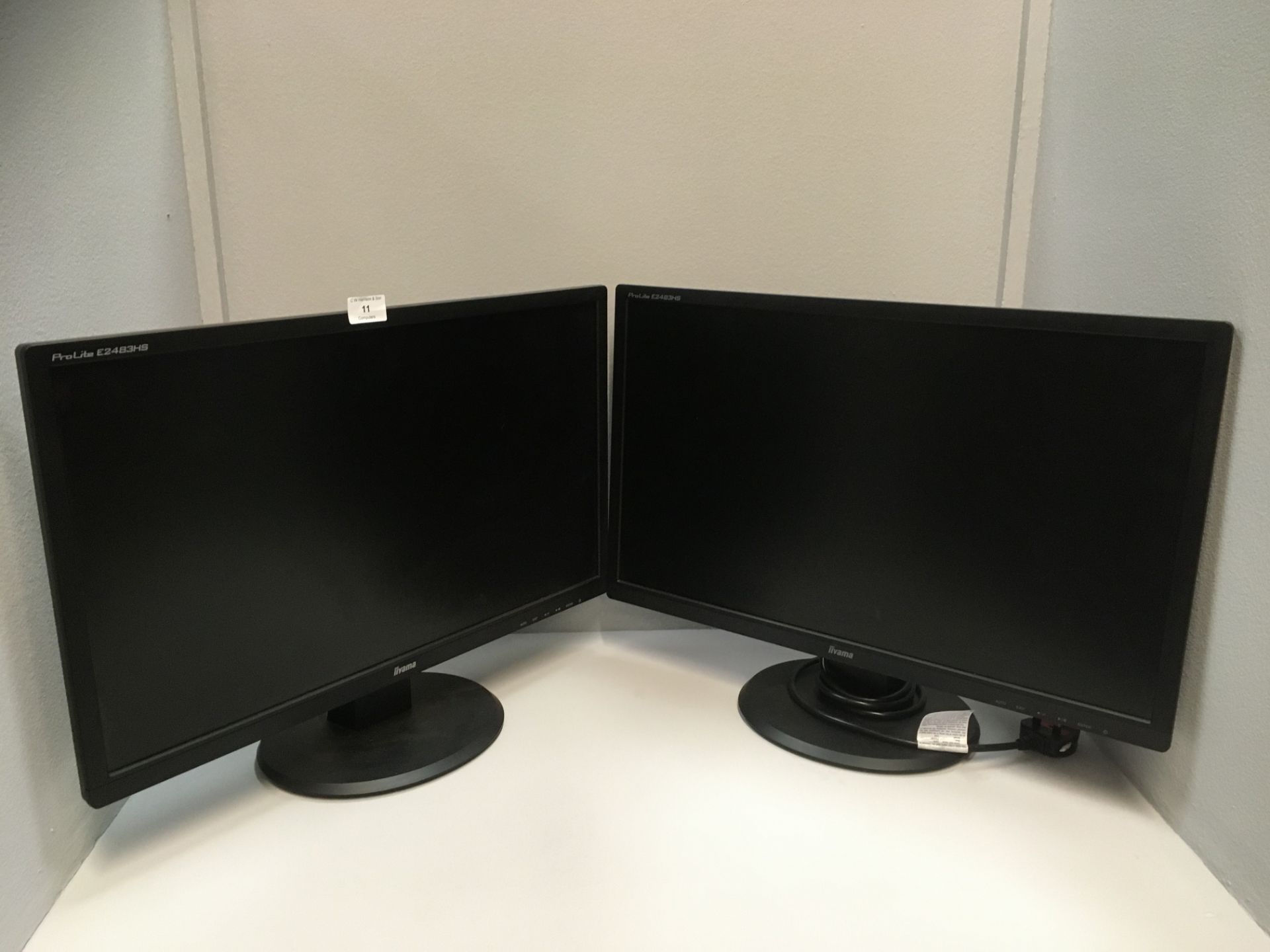 2 x Iiyama ProLite E2483HS 24" monitors