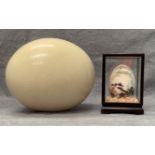An ostrich egg and a small decorated egg in case (2)