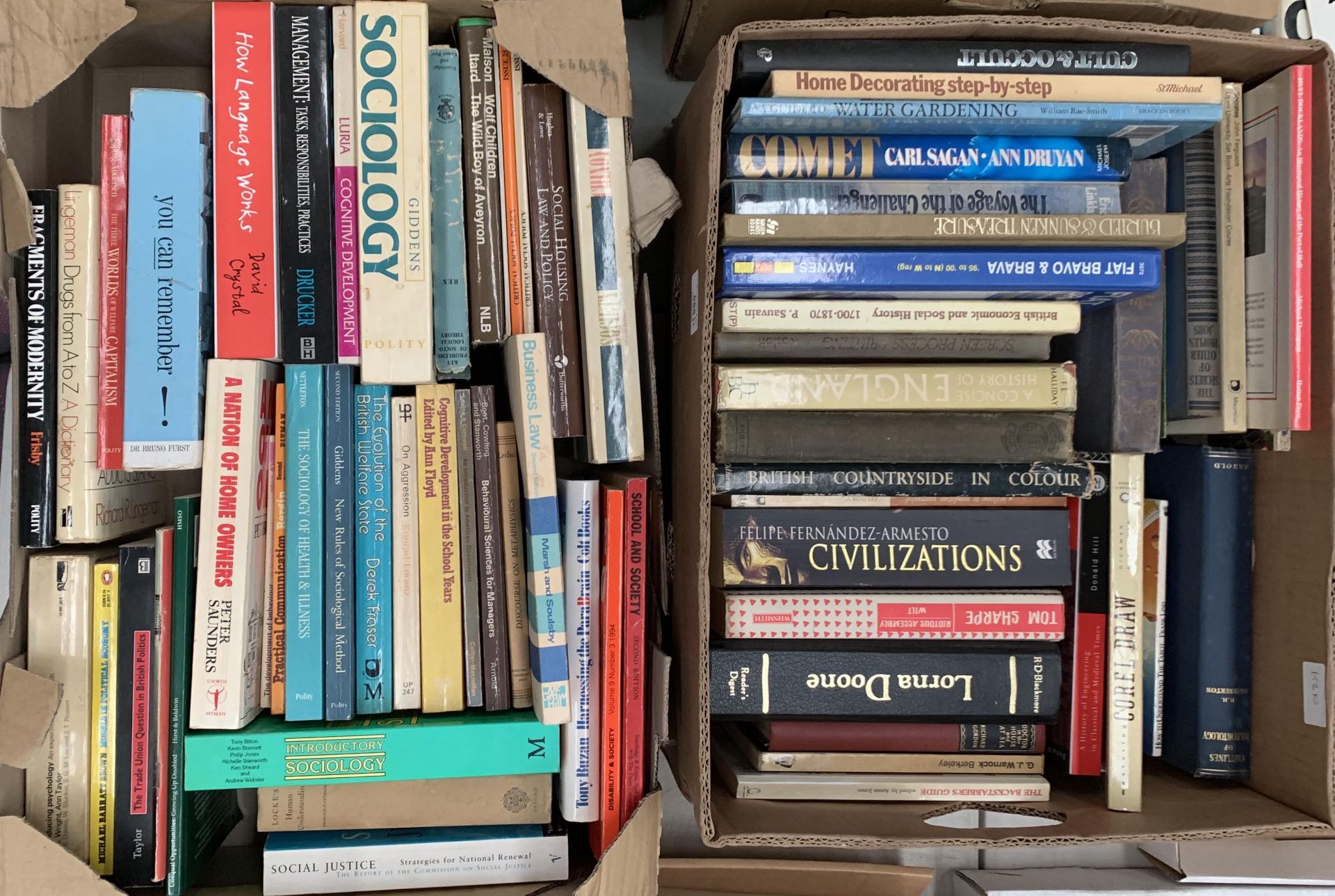 Contents to two boxes, books on sociology, Business history, Society etc.