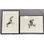 Chris Pendleton BA, two framed limited edition Red Kite prints from the British Birds collection,