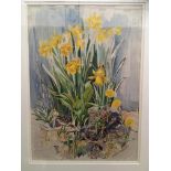 Judith Bromley, framed gouache, 'The Daffodils have thrown aside their dry paper wrappings', 36.