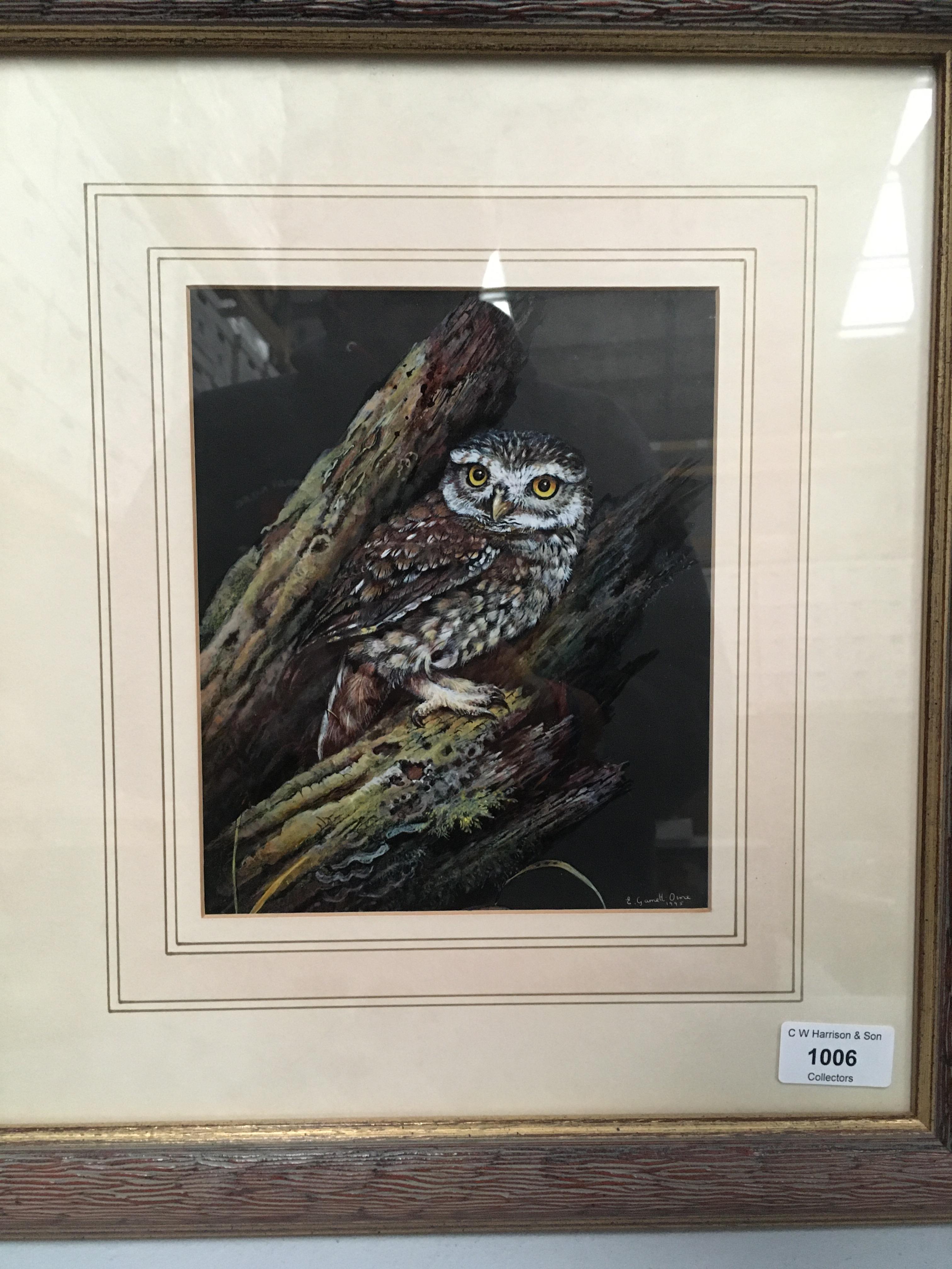 Liz Garnett-Orme (20th century), framed oil, Little Owl, 21cm x 16.