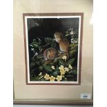 Liz Garnett-Orme (20th century), framed limited edition print, Bank Voles, 24cm x 18cm,