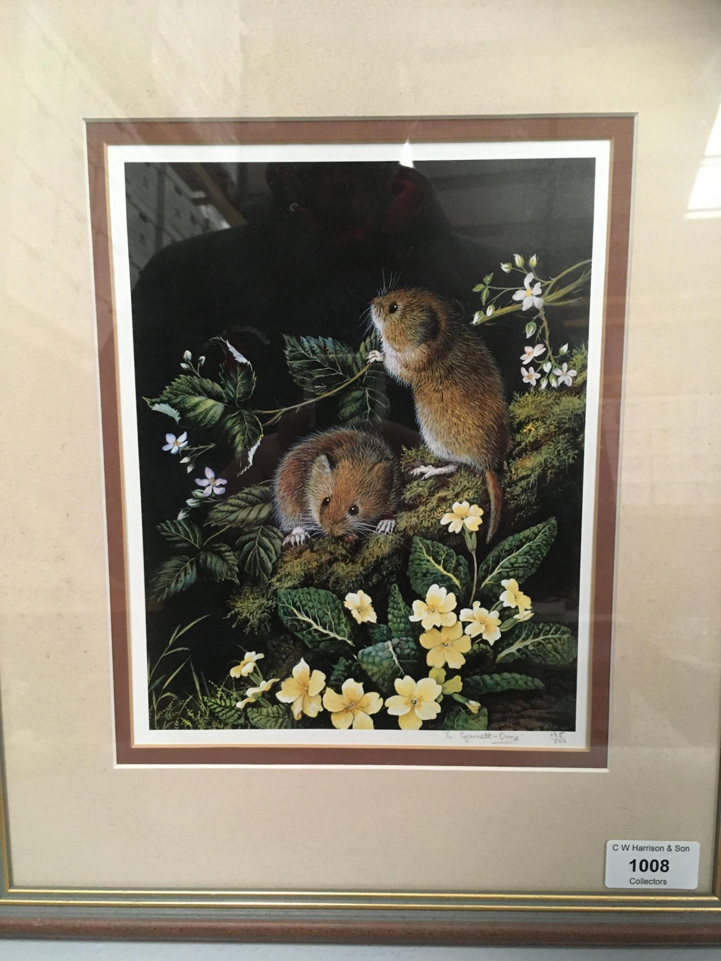 Liz Garnett-Orme (20th century), framed limited edition print, Bank Voles, 24cm x 18cm,