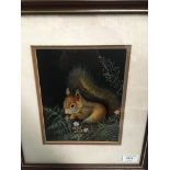 Liz Garnett-Orme (20th century), framed oil, Red Squirrel, 22cm x 18cm,