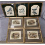 Seven small gilt framed prints of birds