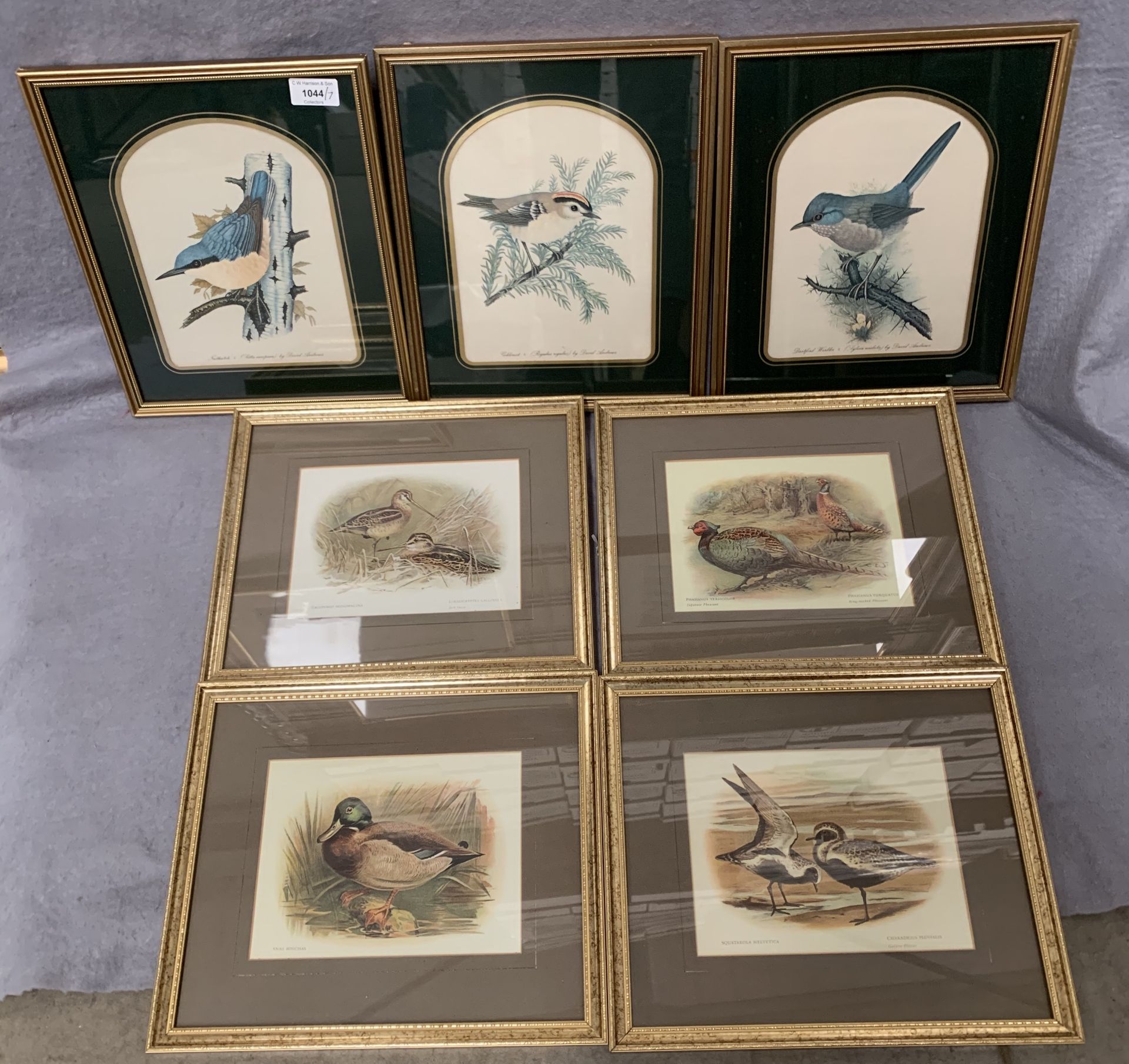 Seven small gilt framed prints of birds