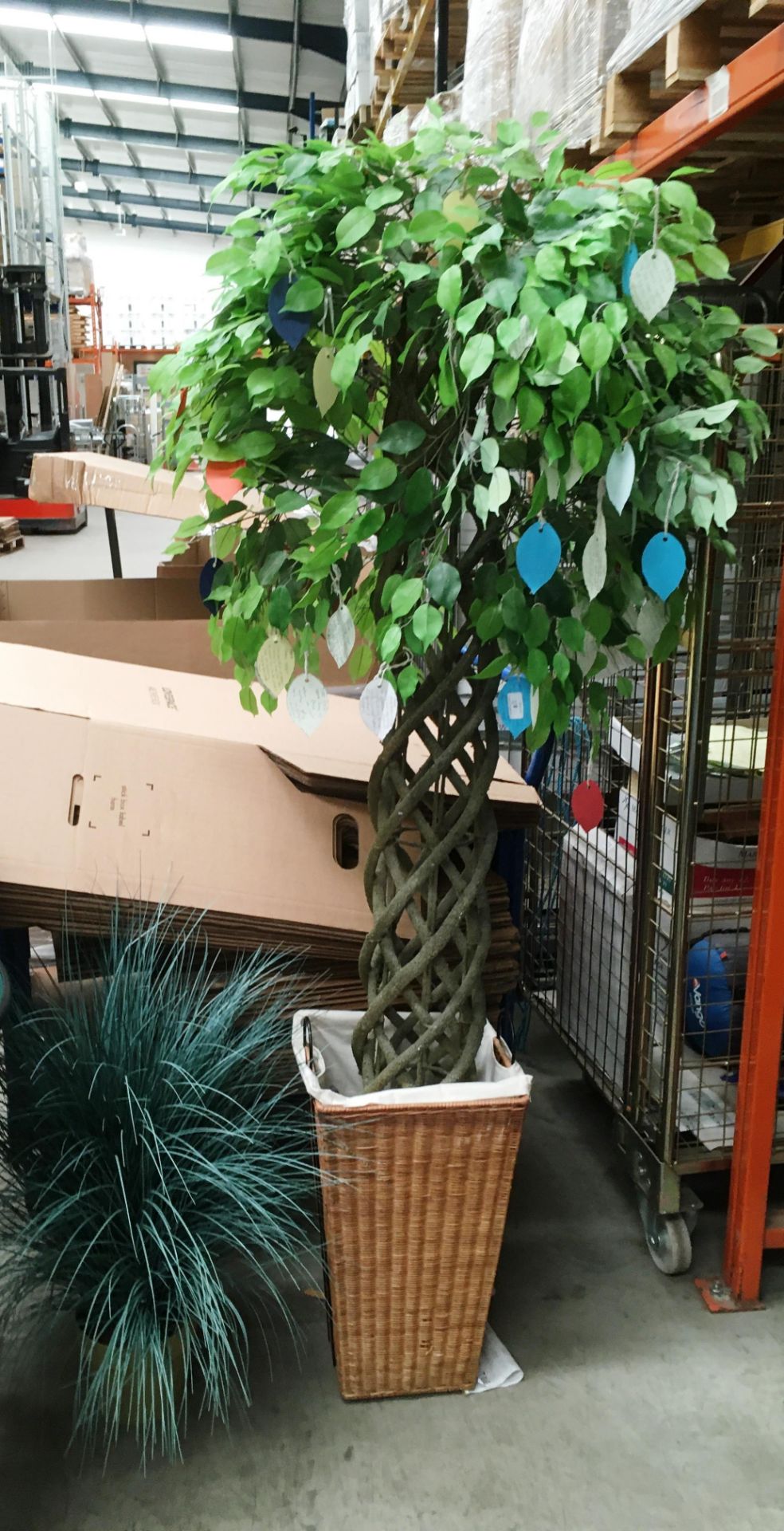 A large artificial fig tree in wicker planter and an artificial grass in plastic planter (2)