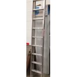 A Youngman 100 22 rung double extension ladder