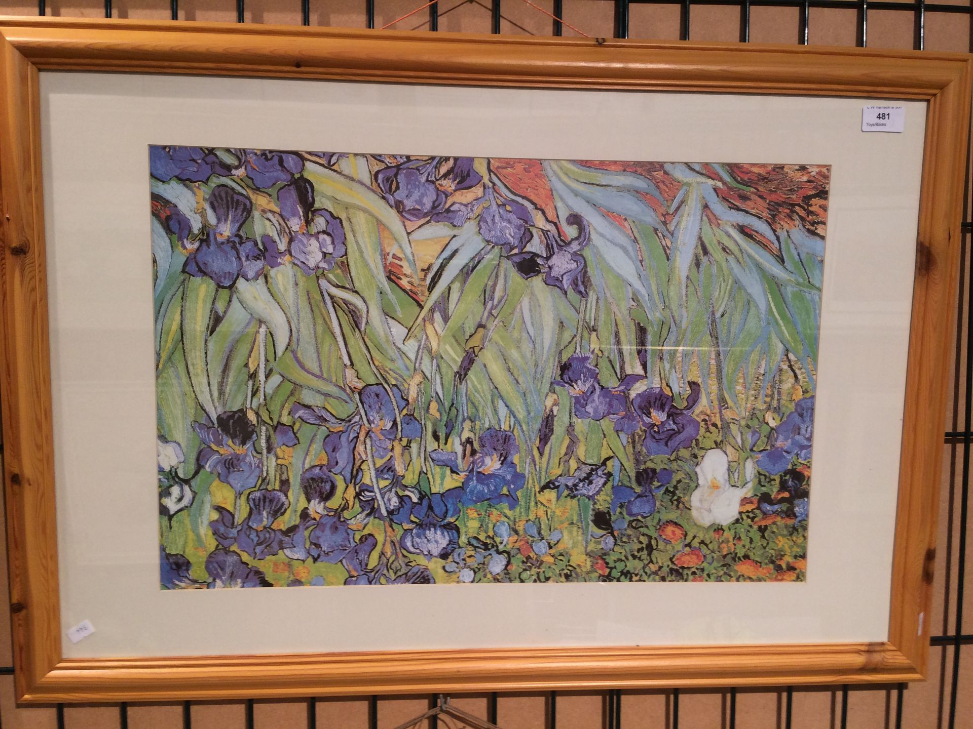 Framed print 'Iris's' 38 x 59cm