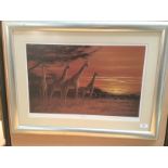 Jeremy Paul framed Ltd Edition print 'Savannah Sundown' 38 x 56cm signed in pencil and numbered