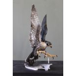 A ceramic Peregrine Falcon by Hutschenreuther,