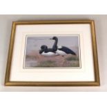 Philip Rickman (1891-1982) watercolour of Magpie Geese,