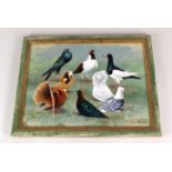A painting of various varieties of pigeons including Fantails and Capuchine on board,