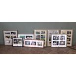 Eight sets of framed photographs of waterfowl, Brids of Prey, Cattle, Buffalo,
