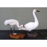 A hand carved and painted Swan and a Crane