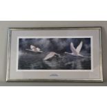 A print of Trumpeter Swans by Victor Bakhtin,