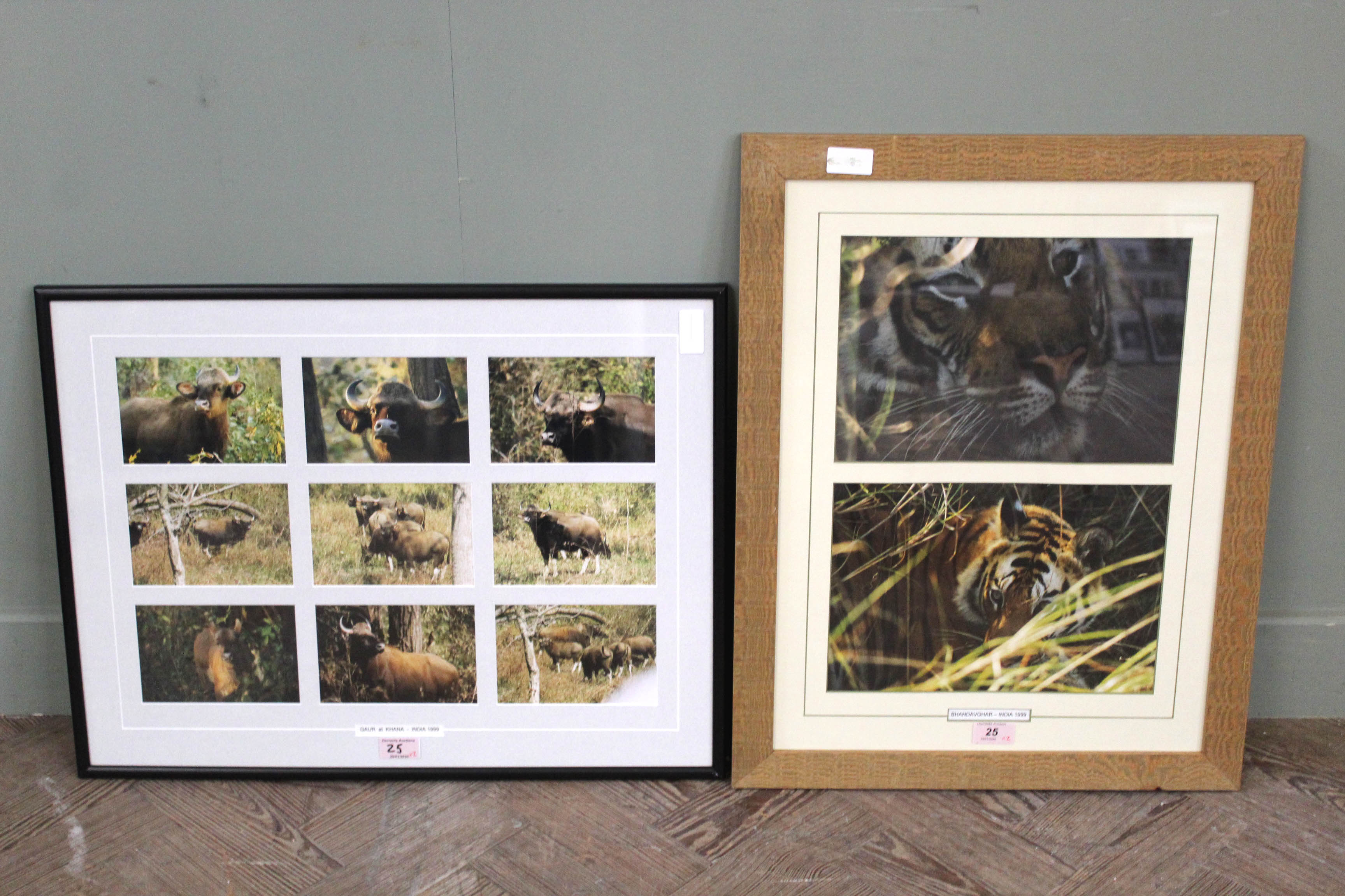 Two sets of framed photographs from India 1999,
