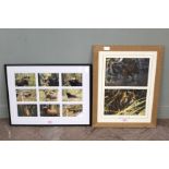Two sets of framed photographs from India 1999,