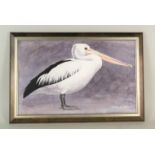 An acrylic painting of a Pelican, signed N.