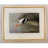 Philip Rickman (1891-1982) watercolour of a Marabou Stork, signed Philip Rickman 1930,
