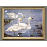 Philip Rickman (1891-1982) watercolour of three Whooper Swans,