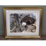 Carl Benders print of a Bald Eagle entitled The Monarch is Alive,