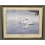 Philip Rickman (1891-1982) watercolour of Whistling Swans and Cygnets, signed Philip Rickman 1977,
