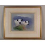 Richard Robjent (1937-) watercolour of White Galloway Cattle, signed Rober Robjent 1981,