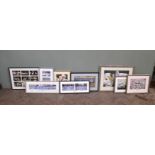 Nine framed photographs including Pelicans and Flamingos