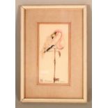 A pencil sketch and watercolour of a James Flamingo signed C.M. from E.B.