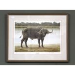 Chris Christofourou signed print entitled Big and Bold Buffalo,