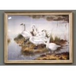 Philip Rickman (1891-1982) watercolour of five Bewick's Swans,