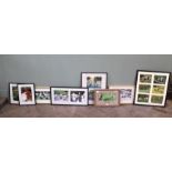 Seven sets of framed photographs of various waterfowl and one set of a Silver Spangled Hamburg