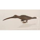 A bronze long billed bird,