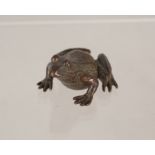 A bronze frog,