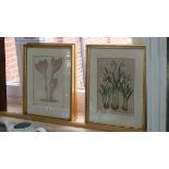 A set of six Victorian botanical prints