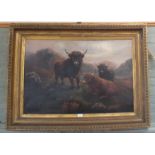 An oil on canvas depicting highland cattle in heavy gilt frame (canvas as found),