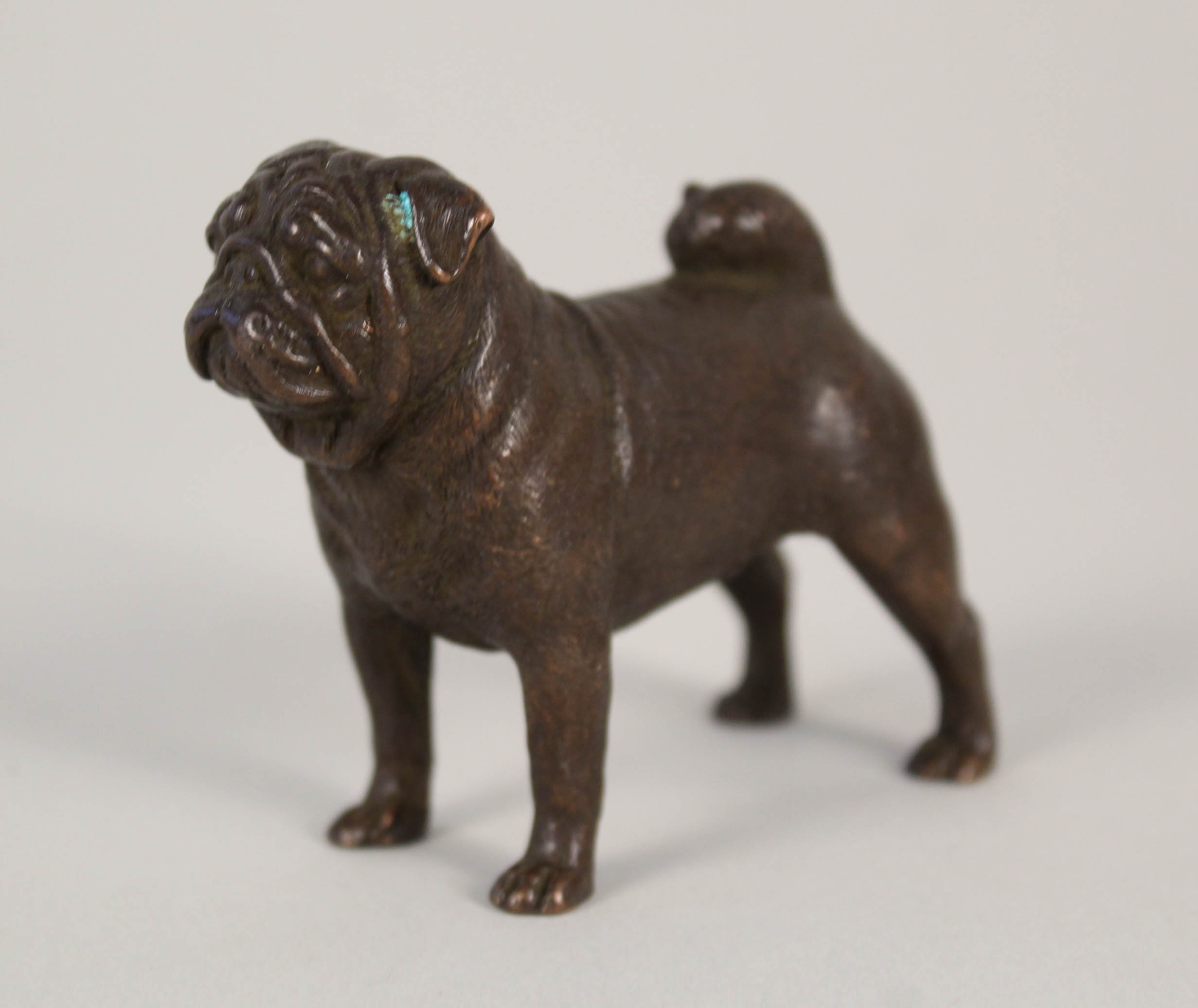 A miniature bronze of a pug,