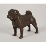 A miniature bronze of a pug,