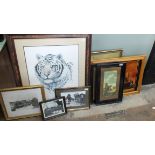 Eight prints and photos including large framed tiger,