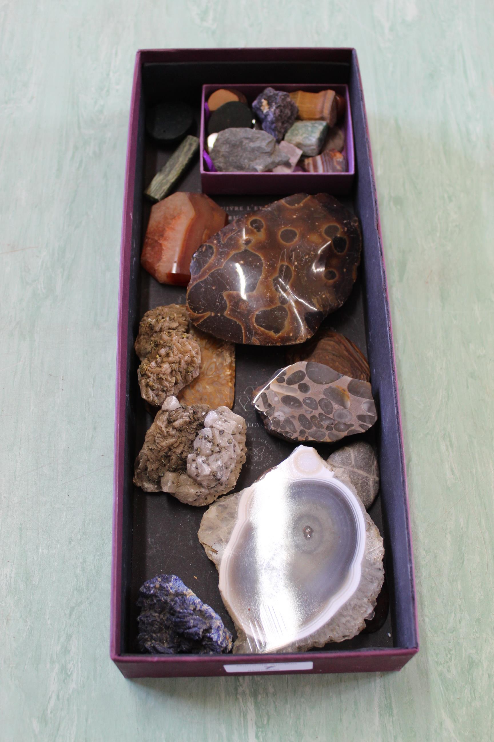 A small box of various rocks and fossils