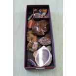 A small box of various rocks and fossils