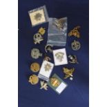 A collection of various military badges and insignia including Royal Norfolk Regt cap badge