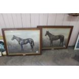 A pair of large framed photographs of race horses, Newmarket signed Clarence Harley,