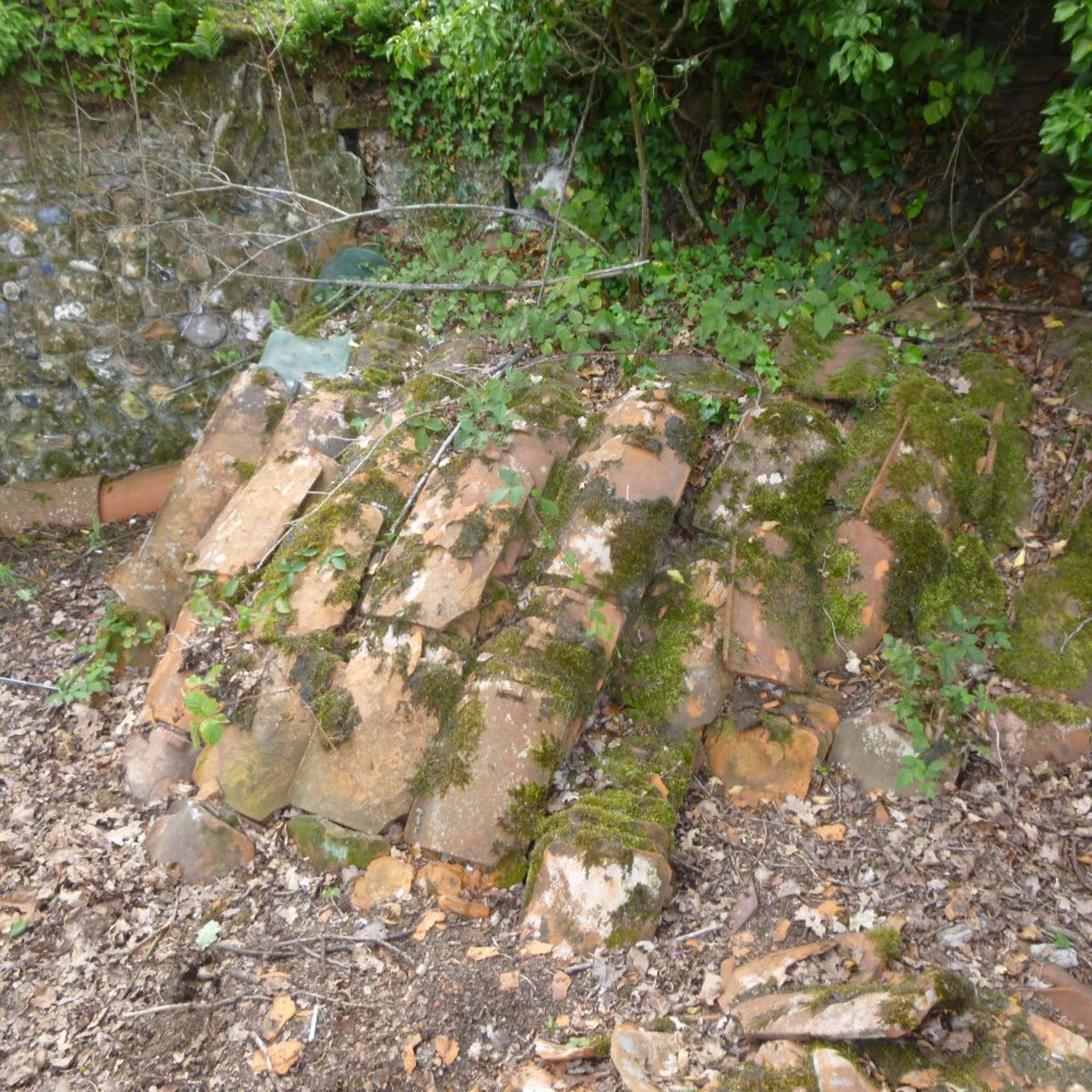 Various roof tiles